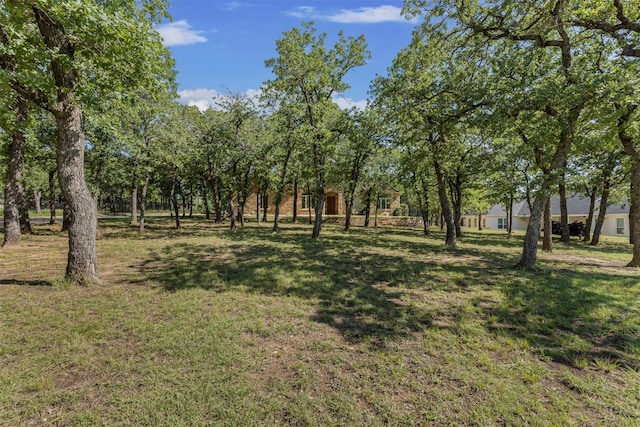 712 S Sugartree Dr, Lipan, TX 76462 - view of green lawn