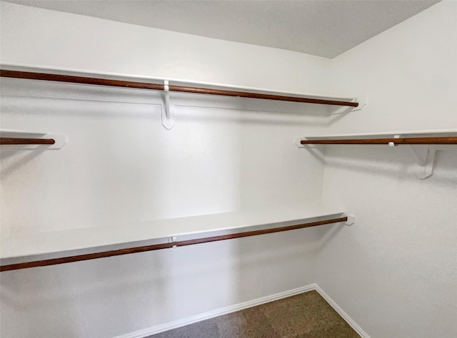 spacious closet with carpet floors