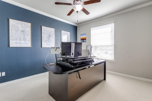 carpeted home office featuring baseboards, ceiling fan, crown molding, and a textured wall