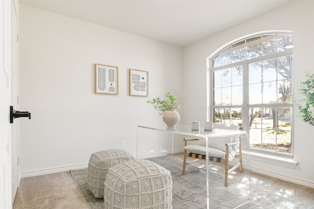 office area featuring baseboards and carpet floors