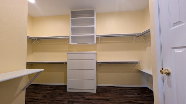 spacious closet featuring wood tiled floor