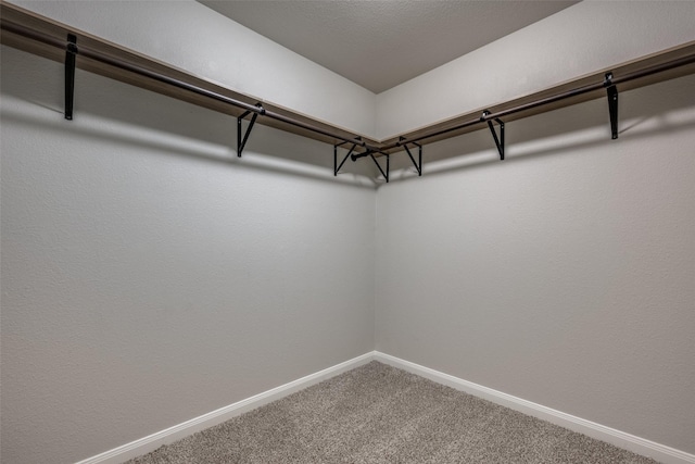 900 Juneberry Dr, Denton, TX 76207 - spacious closet featuring carpet floors