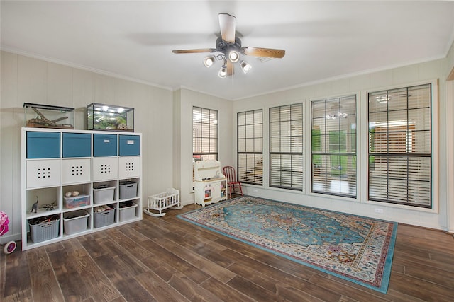 interior space featuring wood finished floors, a ceiling fan, and ornamental molding