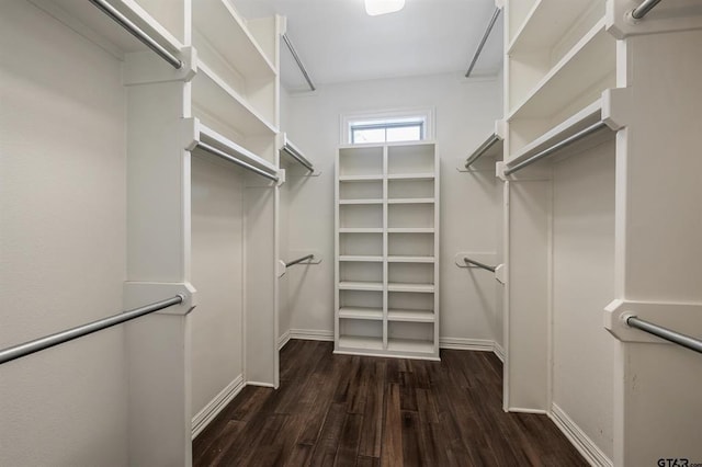 spacious closet with dark wood finished floors