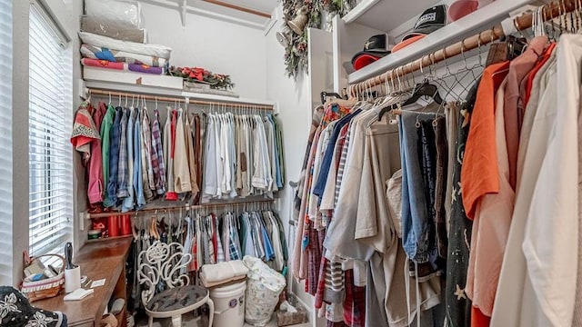 view of spacious closet