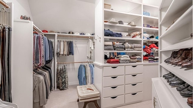 spacious closet featuring carpet floors