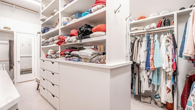 walk in closet with light colored carpet