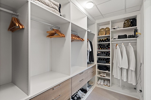 view of spacious closet