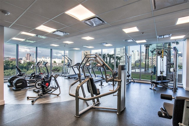 exercise room featuring floor to ceiling windows, a drop ceiling, and a healthy amount of sunlight