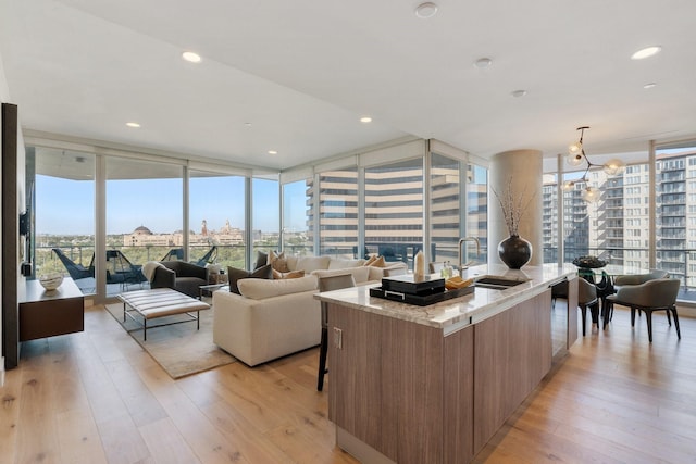 living room featuring a city view, a wall of windows, and light wood-style floors