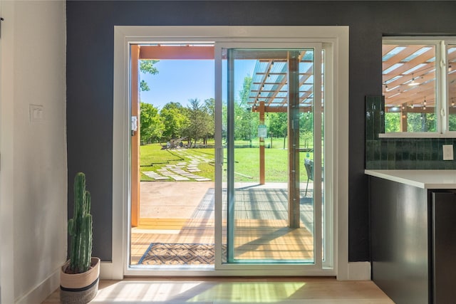 entryway with wood finished floors, a healthy amount of sunlight, and baseboards
