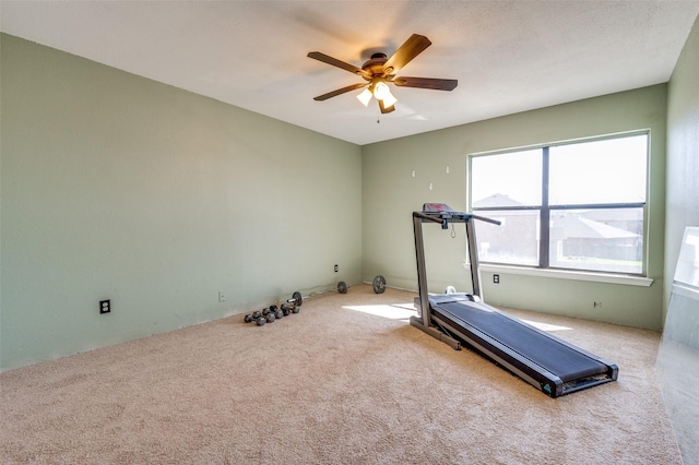 exercise room featuring a ceiling fan and carpet