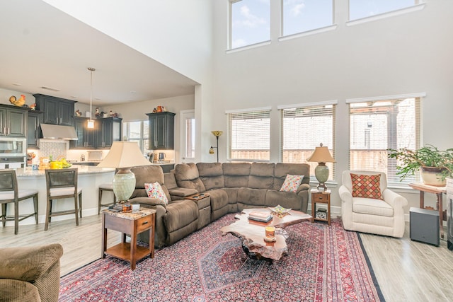 living area with light wood finished floors