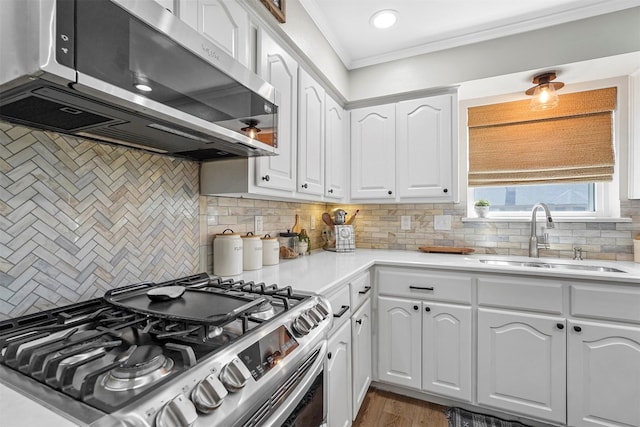 kitchen featuring tasteful backsplash, crown molding, stainless steel appliances, white cabinetry, and a sink