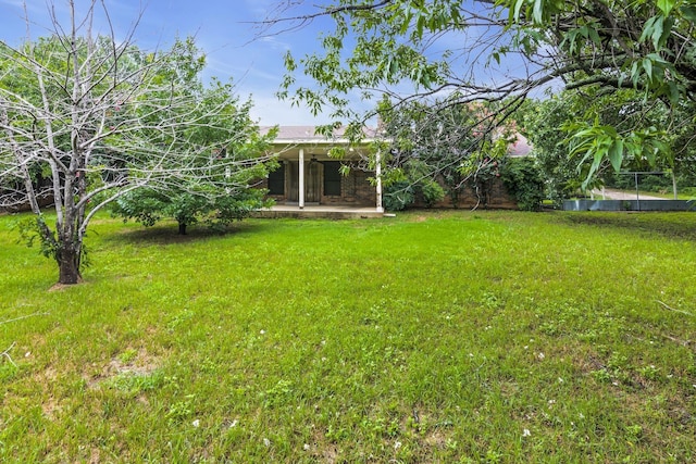 view of yard with a patio area