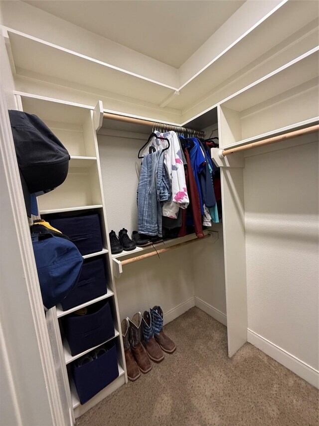 spacious closet with light colored carpet