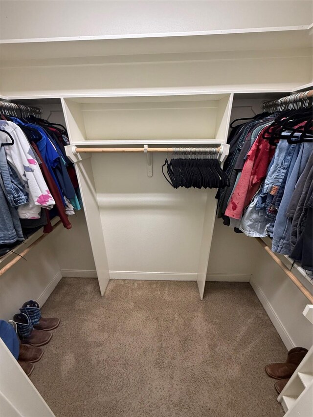 spacious closet with light colored carpet