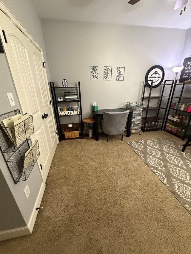 bedroom featuring carpet flooring