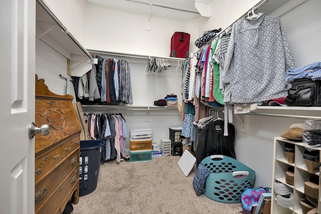 spacious closet featuring carpet flooring