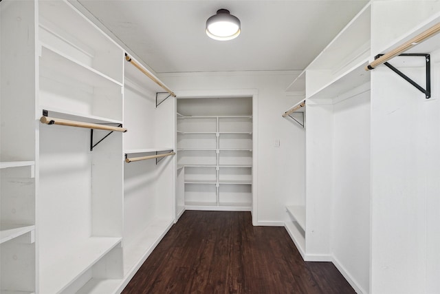 walk in closet featuring wood finished floors