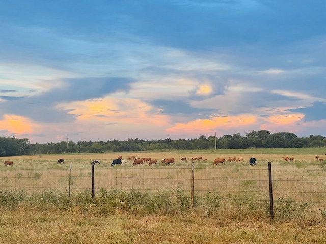 view of yard featuring a rural view and fence