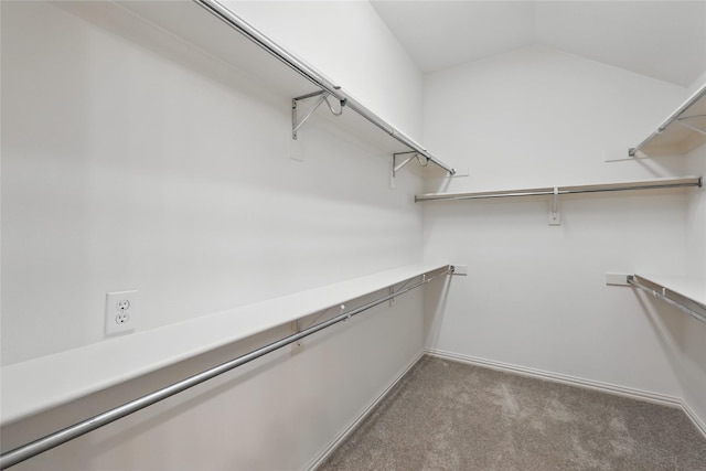 walk in closet with vaulted ceiling and carpet flooring