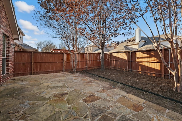 view of yard with a patio area and a fenced backyard