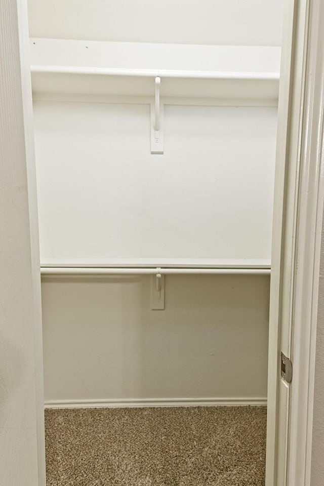 spacious closet featuring carpet flooring