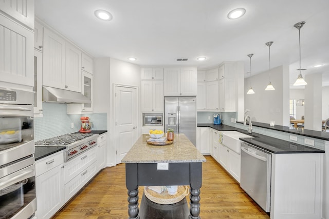 kitchen featuring under cabinet range hood, stainless steel appliances, light wood-style flooring, and a sink