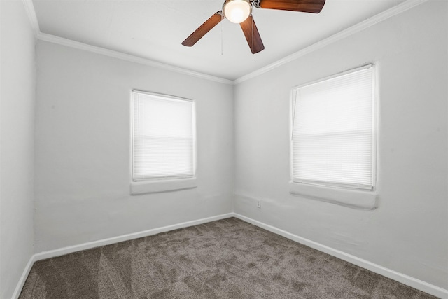 empty room with plenty of natural light, carpet, and ornamental molding