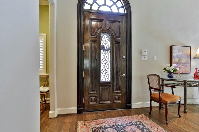 entryway featuring wood finished floors, baseboards, and a wealth of natural light