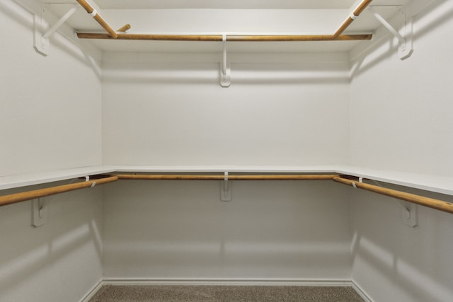 spacious closet featuring carpet floors and built in desk