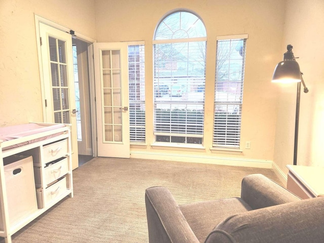 sitting room featuring carpet flooring