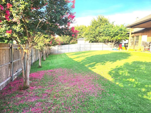 view of yard featuring a fenced backyard