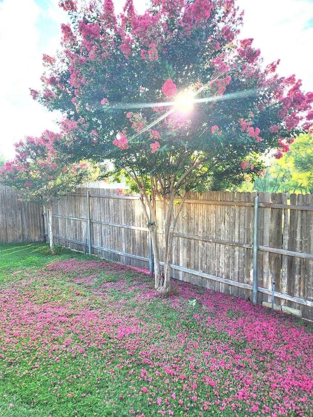 view of yard with a fenced backyard