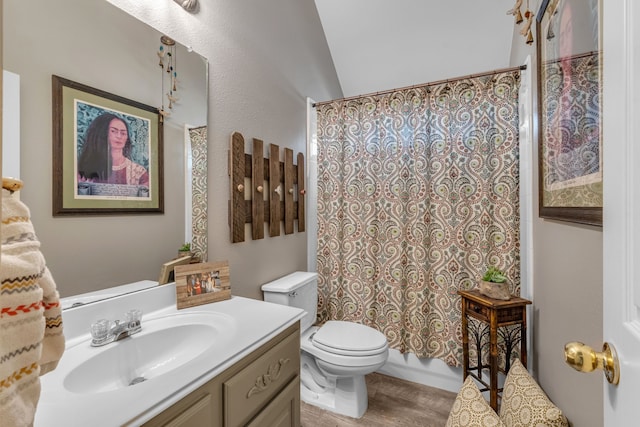 full bath with toilet, vanity, and shower / bath combo