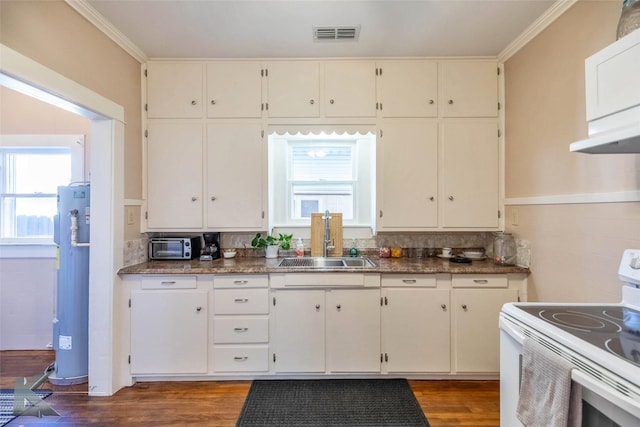 kitchen featuring crown molding, under cabinet range hood, white electric range oven, wood finished floors, and a sink