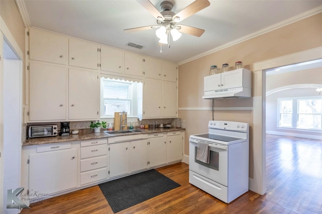 kitchen featuring a sink, wood finished floors, under cabinet range hood, and white electric stove