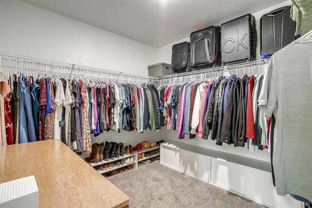 spacious closet featuring carpet flooring