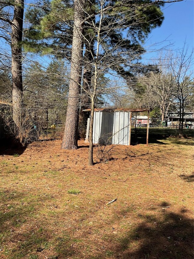 view of yard featuring a storage unit and an outdoor structure