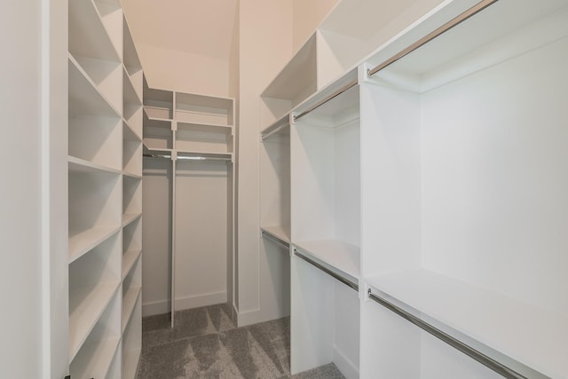 spacious closet featuring dark colored carpet