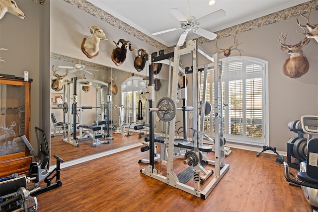 exercise area featuring ceiling fan, baseboards, wood finished floors, and ornamental molding