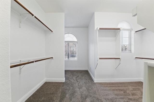 walk in closet with carpet floors