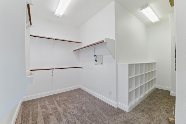 spacious closet with carpet floors