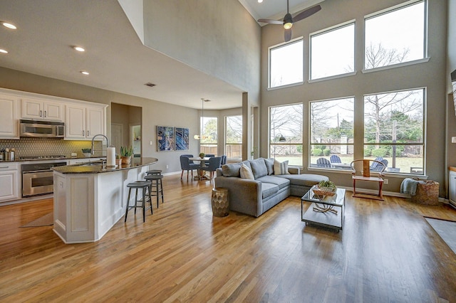 living area featuring a wealth of natural light, light wood-style flooring, and baseboards