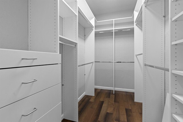 spacious closet featuring wood finished floors