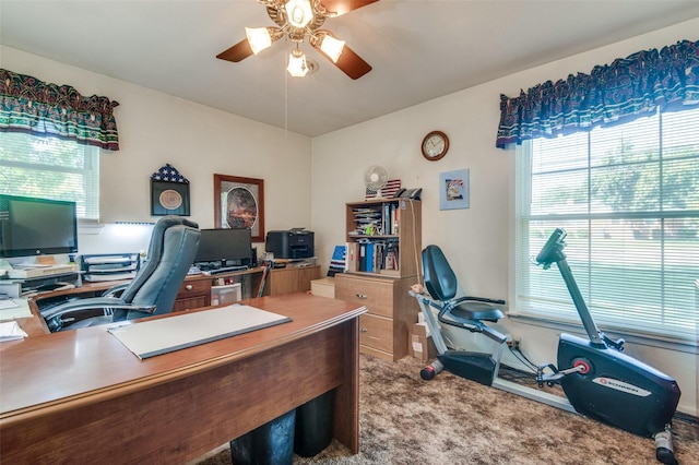 office space with carpet and ceiling fan