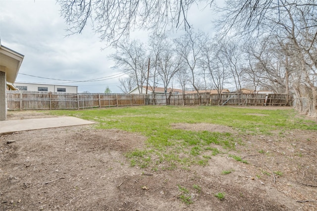 view of yard with a patio and a fenced backyard