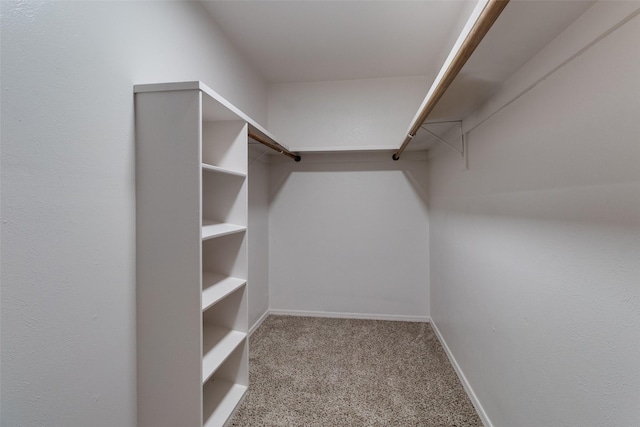 spacious closet with carpet