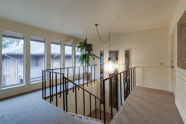 stairway featuring carpet